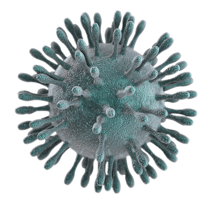 Коронавирус общий вид