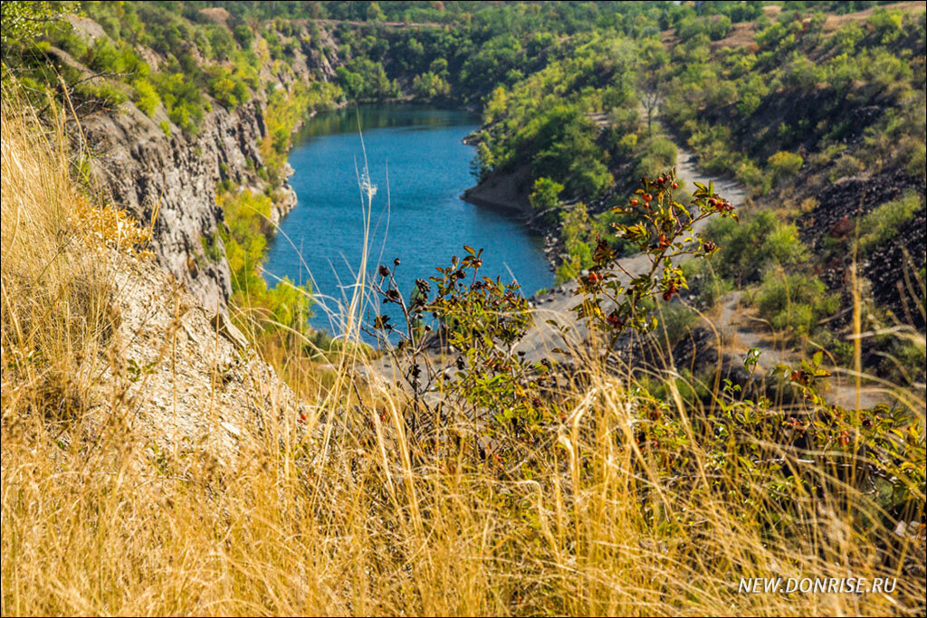 Композиция с сухой травой, шиповником и водой.