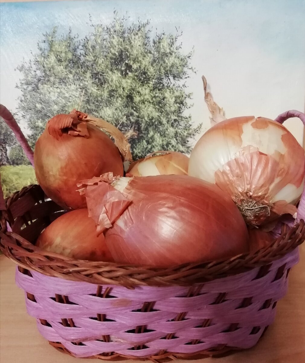 Наш скромный герой) 