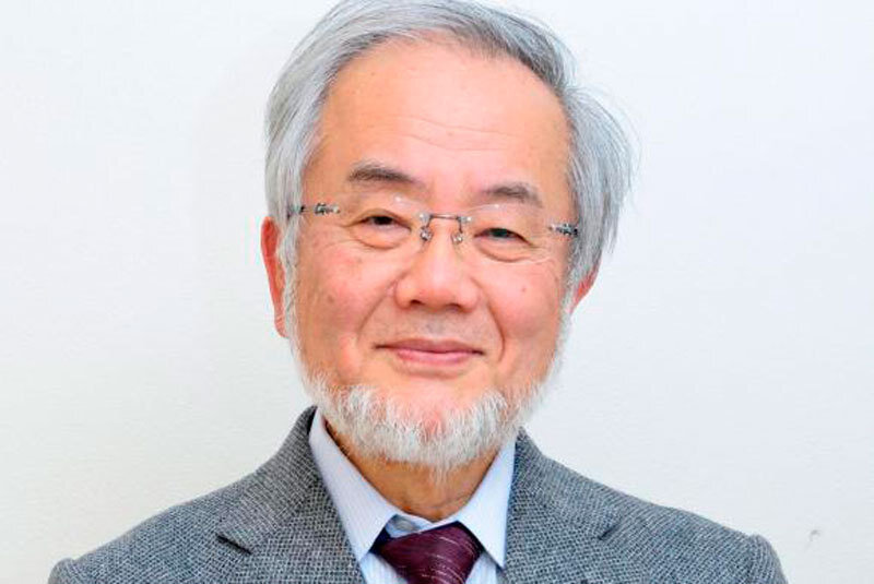 Ёсинори Осуми (фото из интернета)