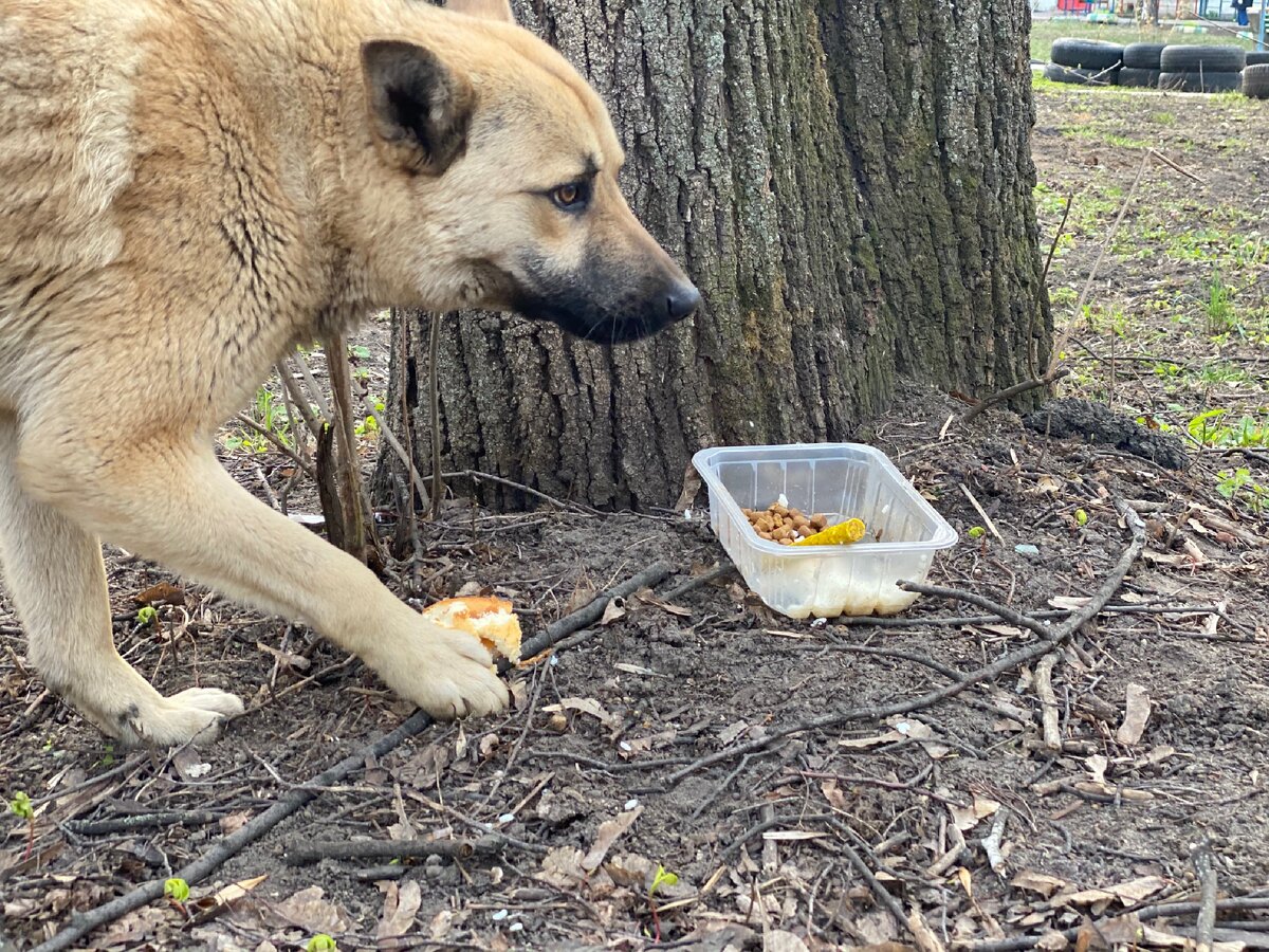 Гарик кушает