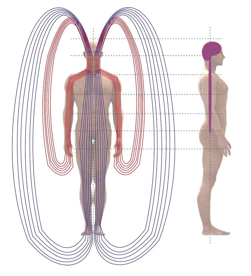 Энергия человека схема. Меридианы тела человека и энергия. Энергетические меридианы человека. Энергоканалы тела. Энергетические меридианы земли.