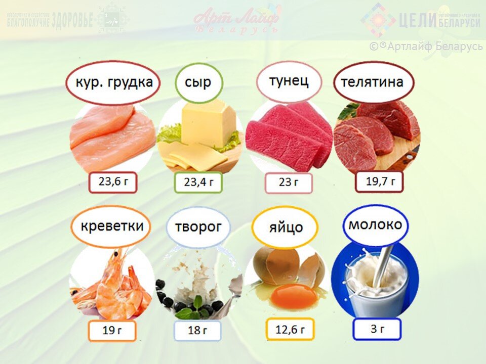 10 продуктов с большим содержанием белка - DailyFit