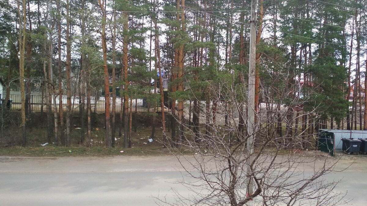 Фото сделано сегодня