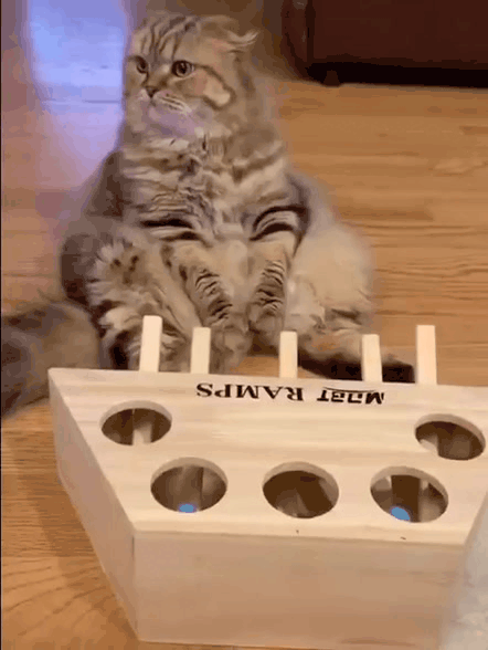 Нажми на картинку, чтобы посмотреть видео. Источник: Ютуб.