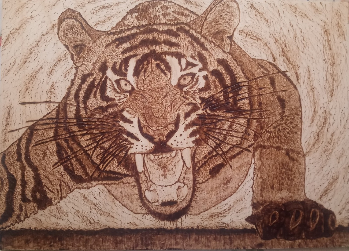 Тигр эволюционировал. Кто понял, тот понял))