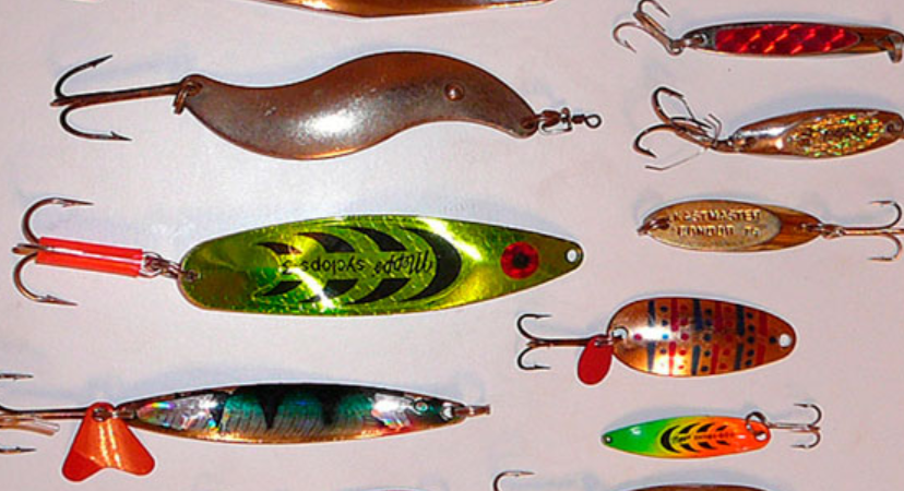 Фото из сети Интернет