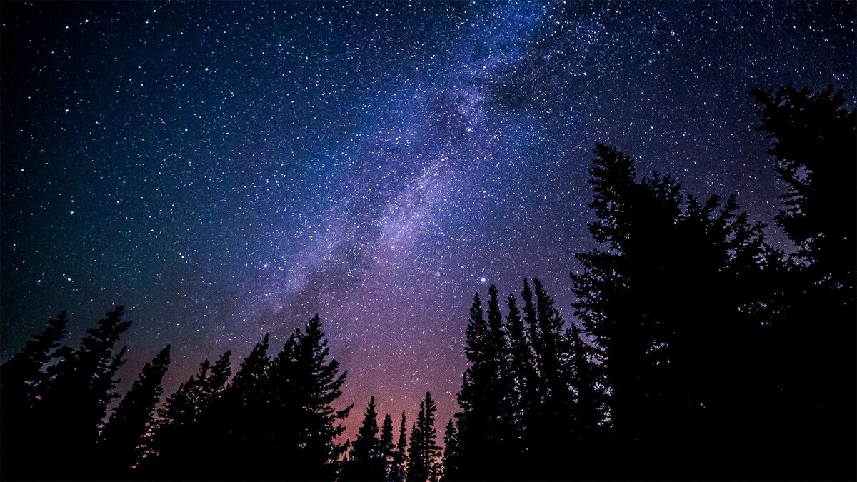 ТВОЙ ГОРОСКОП ✨