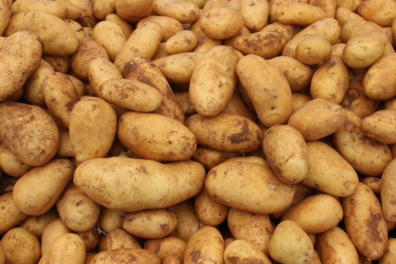 4 продукта, повышающих метаболизм