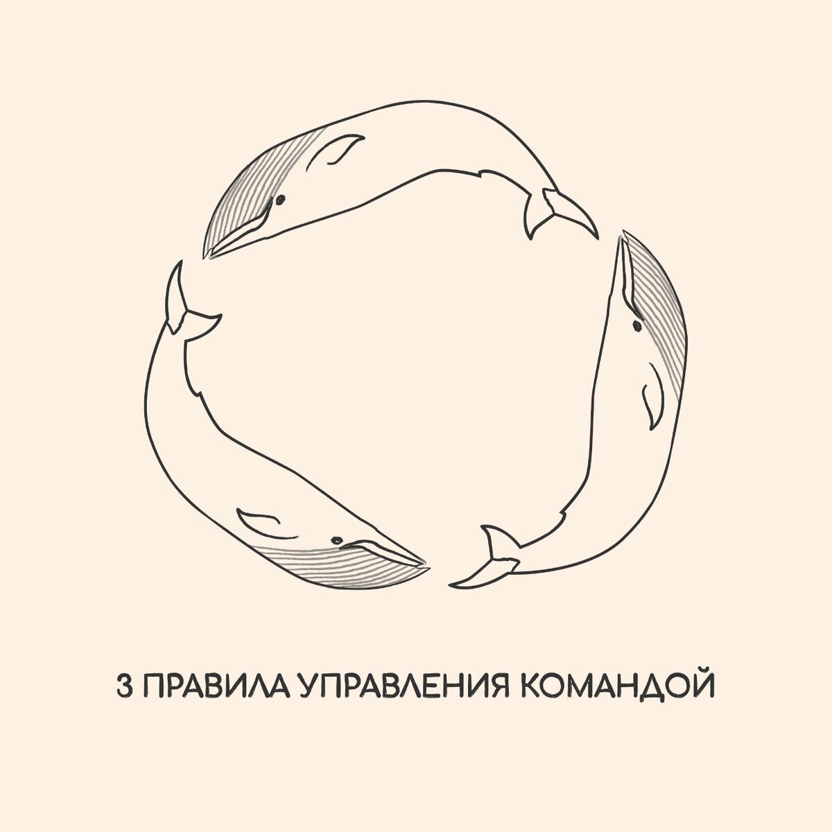 Три правила лого