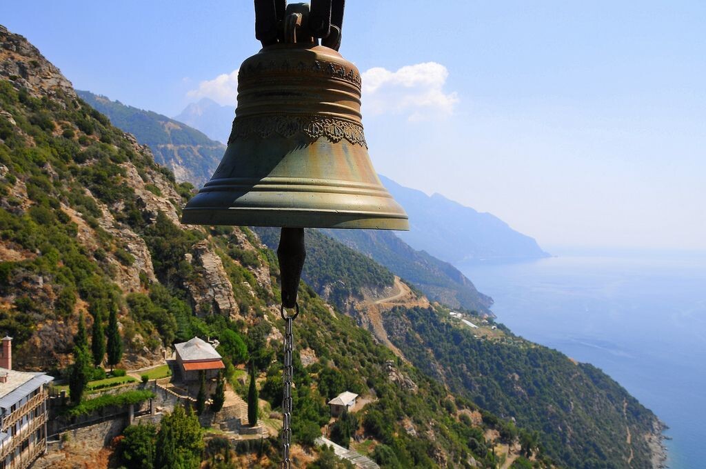 Изображение взято из интернета. 