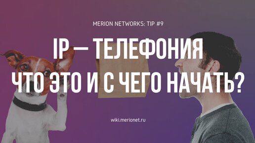 IP – телефония | Что это и с чего начать?