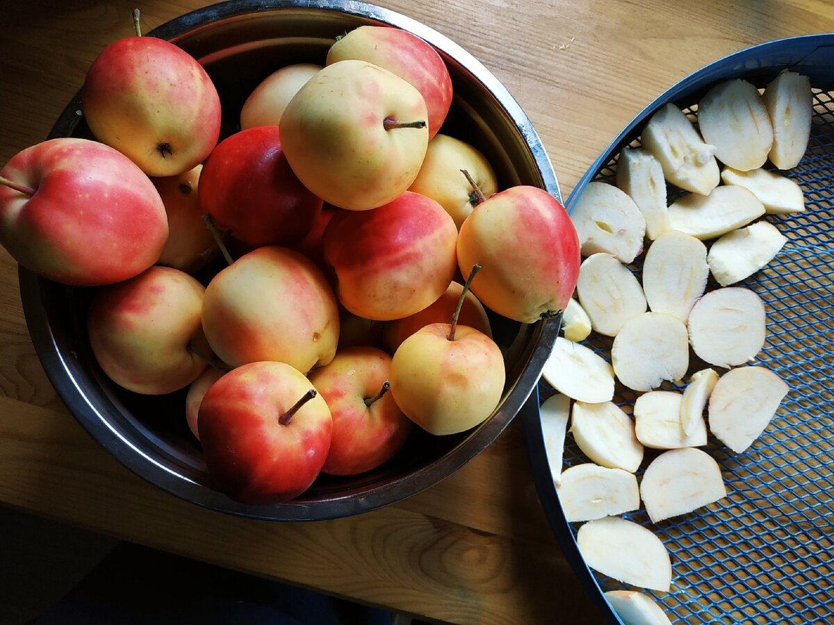Сравни условия засушивания яблок на разных подносах