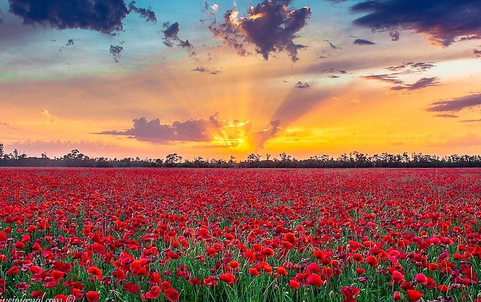 Природа Кубани