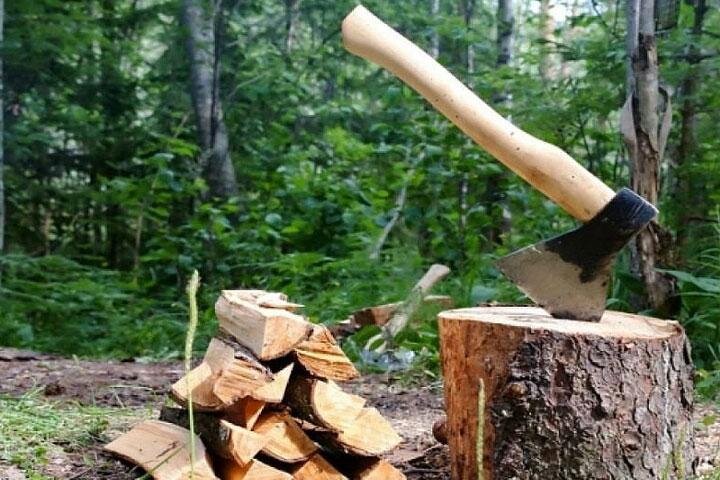 Фото: msk-kamin.ru 