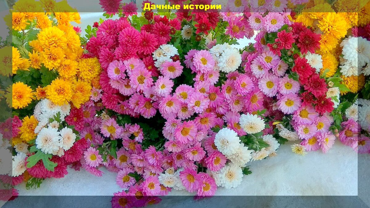 https://vk.com/photo-159774511_457244639