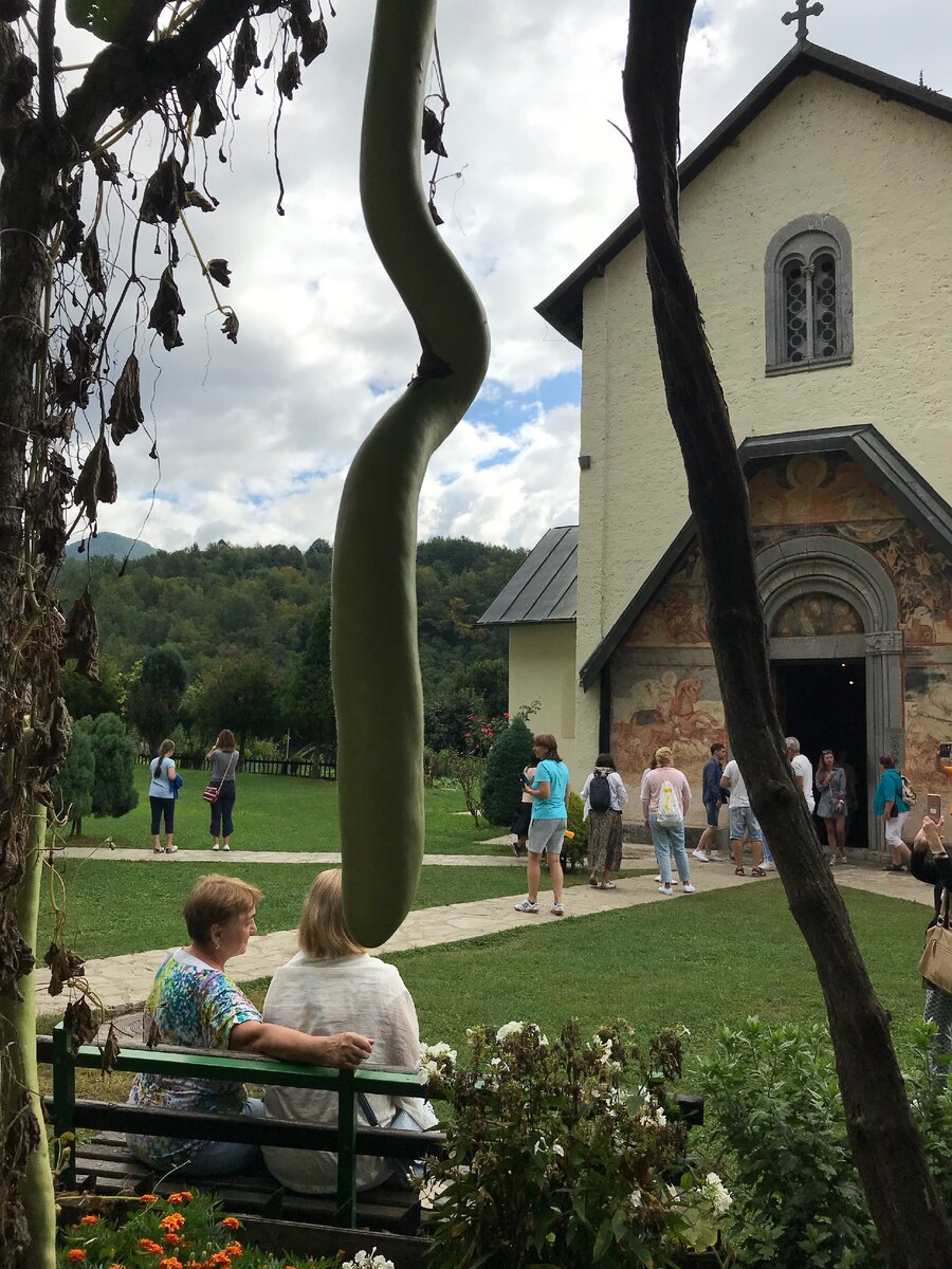 Монастырь Морача