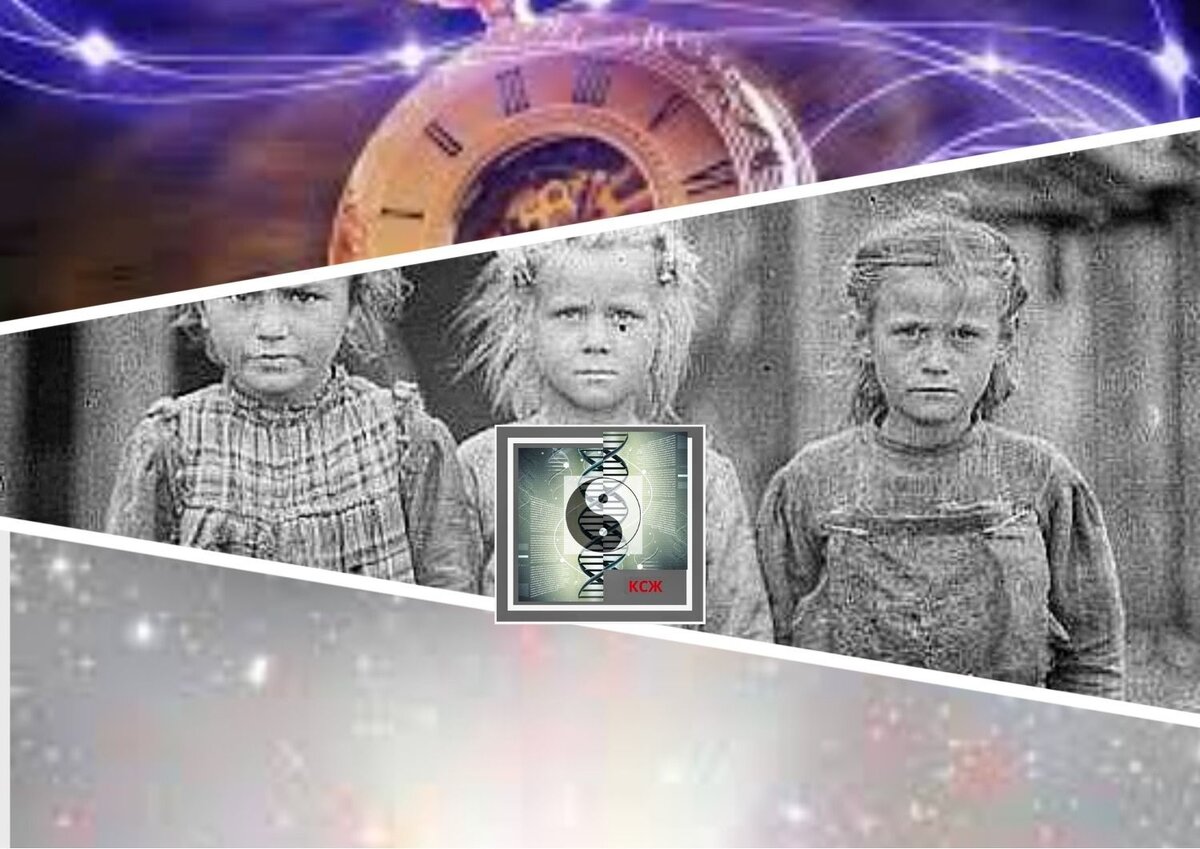 Но реальность оказалась другой...