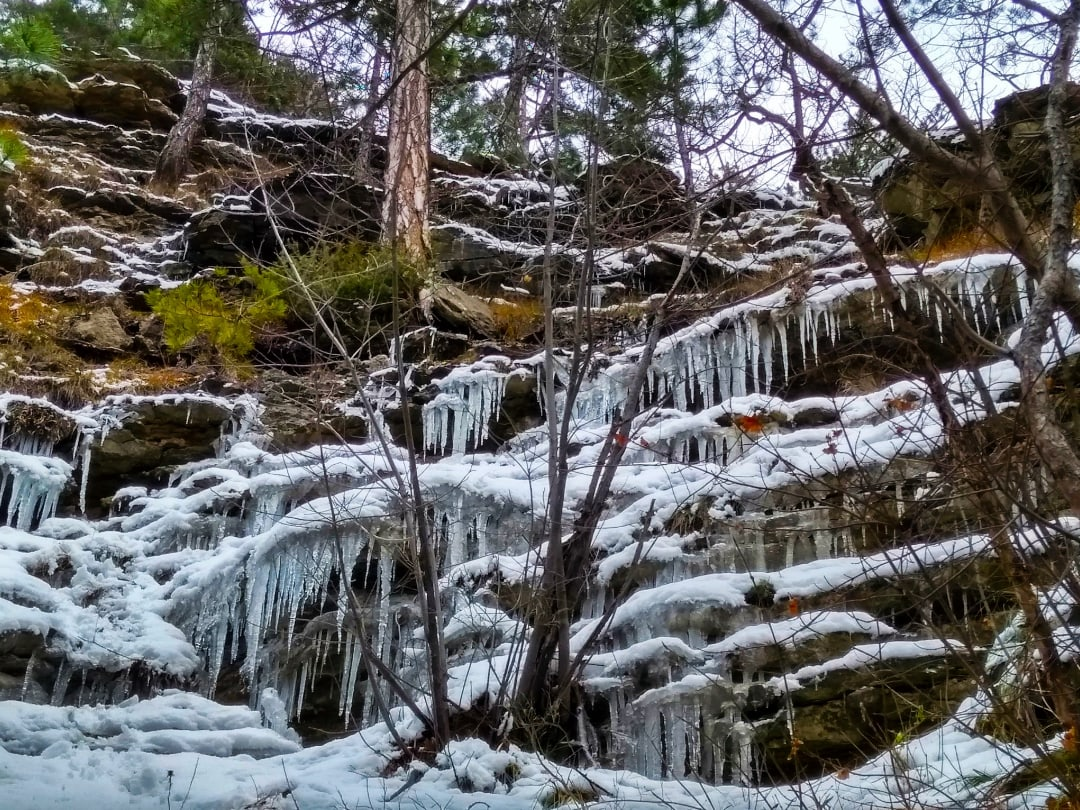 Фото Н. Вахрушевой