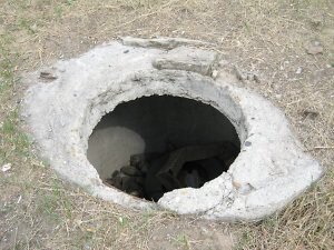 Фото из открытых источников