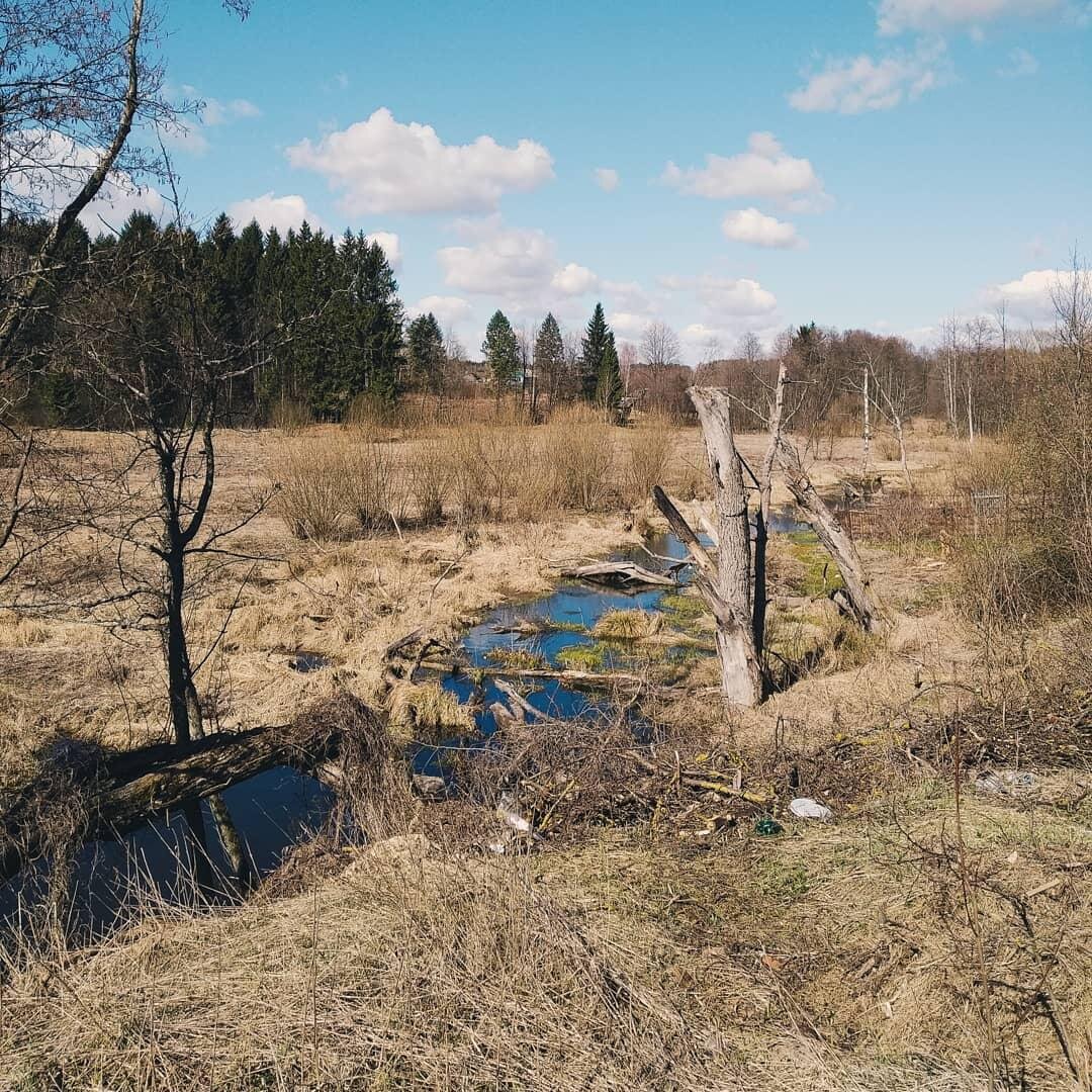 Как мы чуть не купили дом после самоубийства и пожара