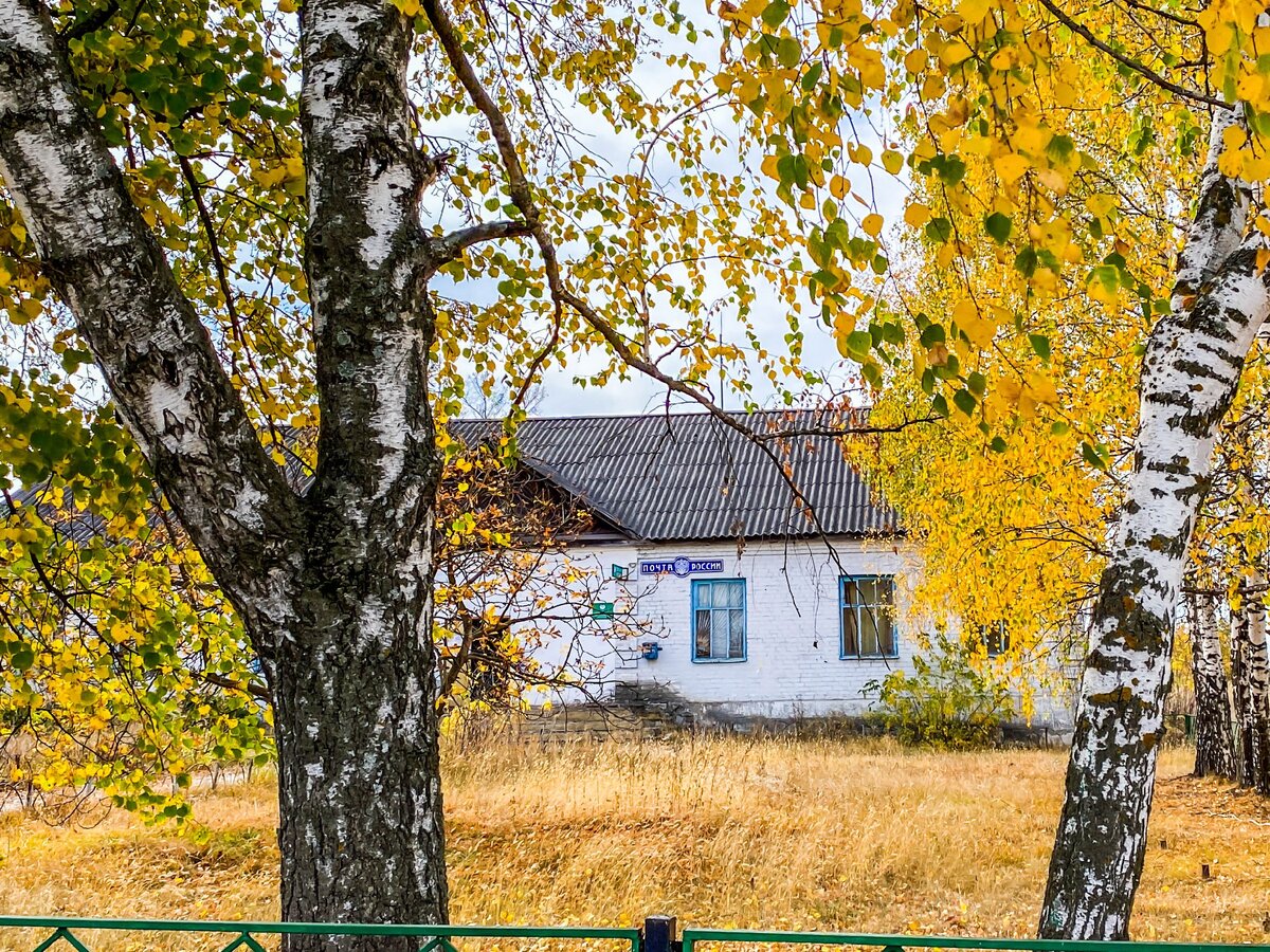 Борисовка. Село, в котором можно жить | Прекрасное рядом | Дзен