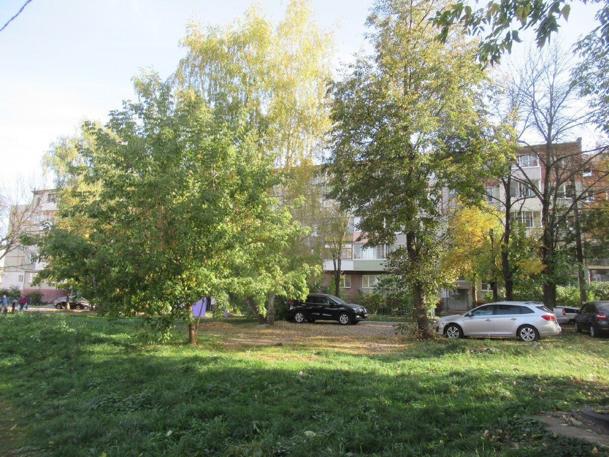 Тула. улица Пионерская (между улицами Л. Толстого и Морозова). Уголок  частного сектора среди многоэтажной застройки | ПАНТОГРАФ | Дзен