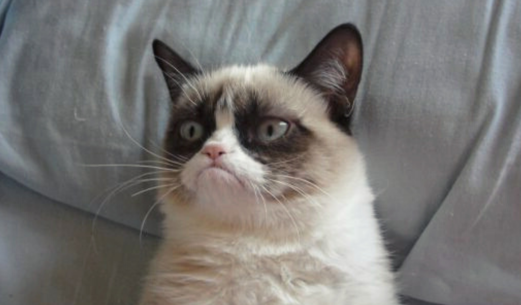 Есть 3 главных правила, которые здорово помогают поднять самооценку