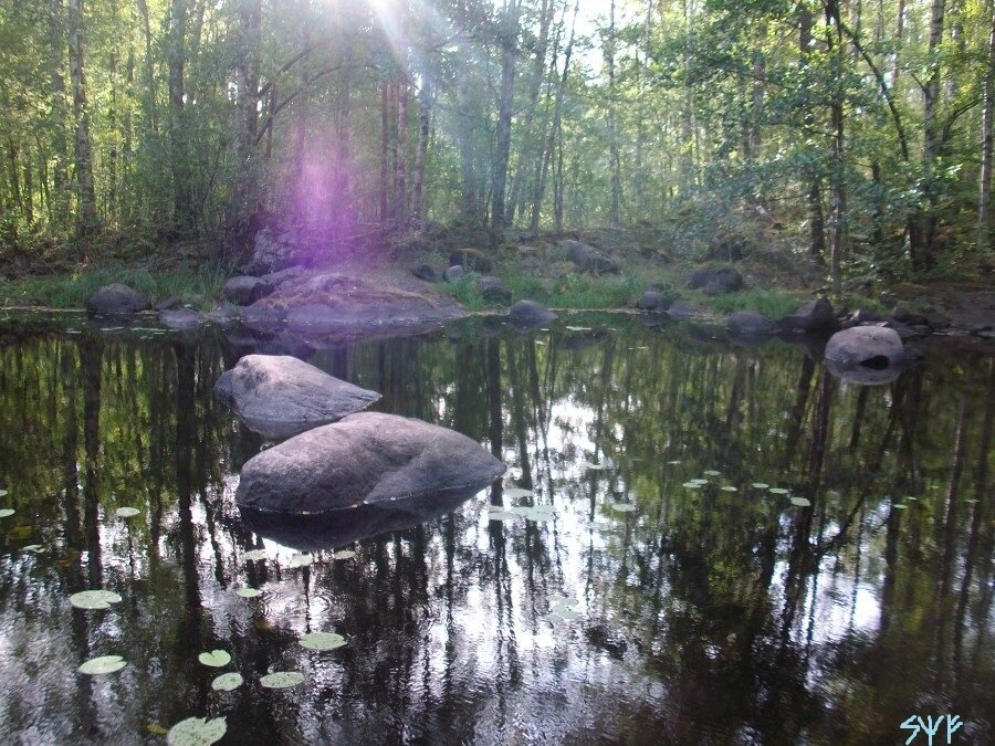 Фото из интернета