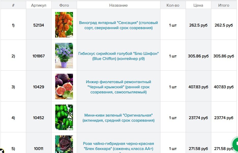 Маркет 24 саженцы Маркет 24 саженцы