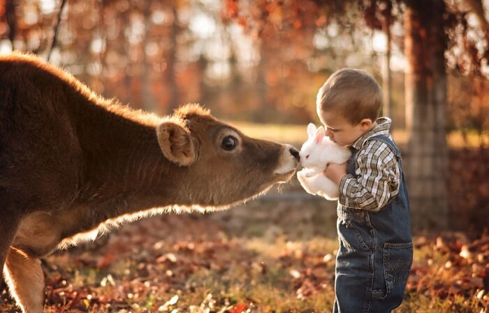 Яндекс.Картинки