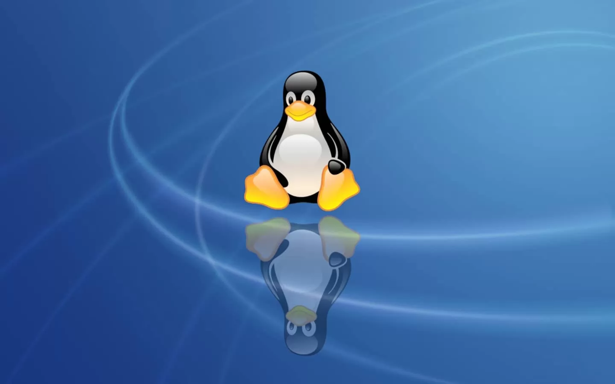 Vk linux. Пингвин Тукс Ubuntu. Линукс Операционная система. Пингвины мультяшные. Заставка пингвины.