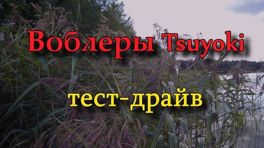 Воблеры TsuYoki, тест драйв