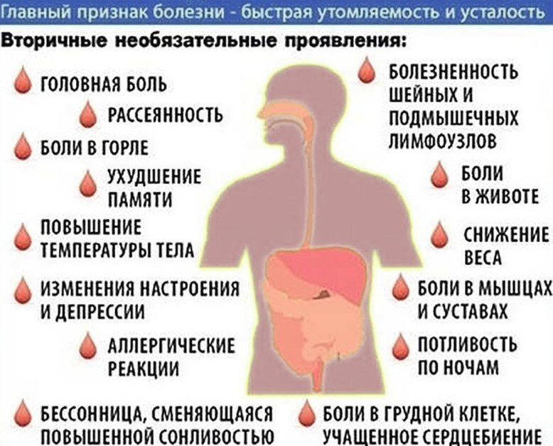 Схема из интернета: https://gazeta-pedagogov.ru 