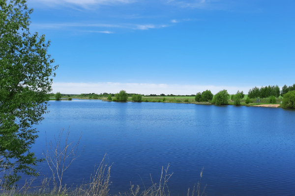 река Мокрая Полотебня, р.п. Милославское