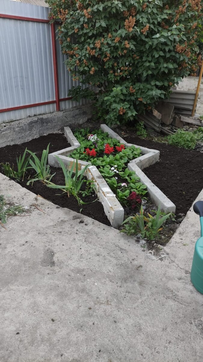 Клумба.Май 2021.