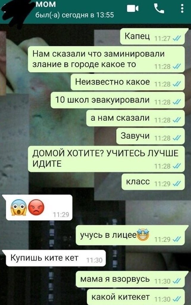 Смешные картинки whatsapp