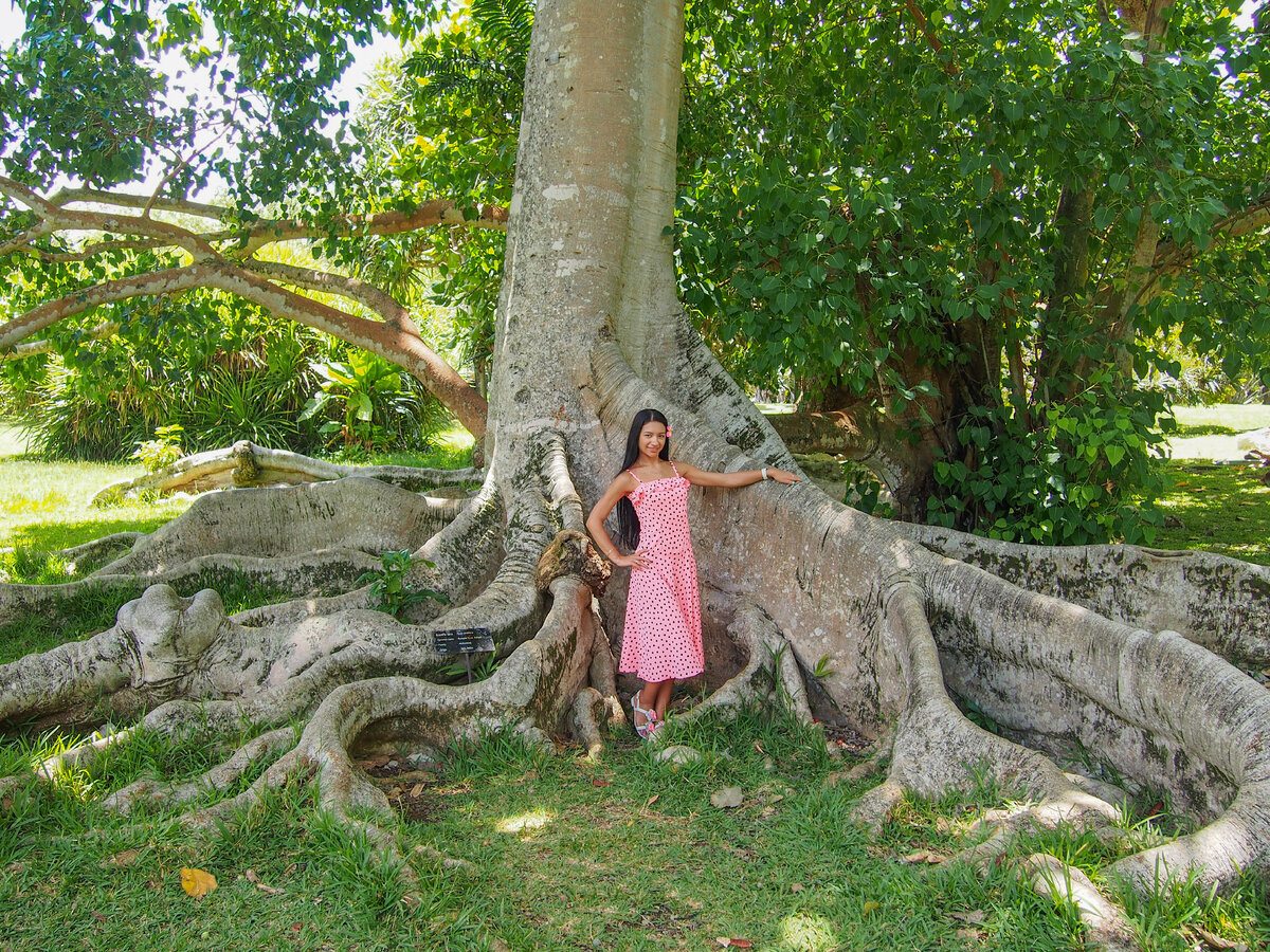 Что посмотреть на Маврикии. Обзор мест, которые запомнились мне больше ...