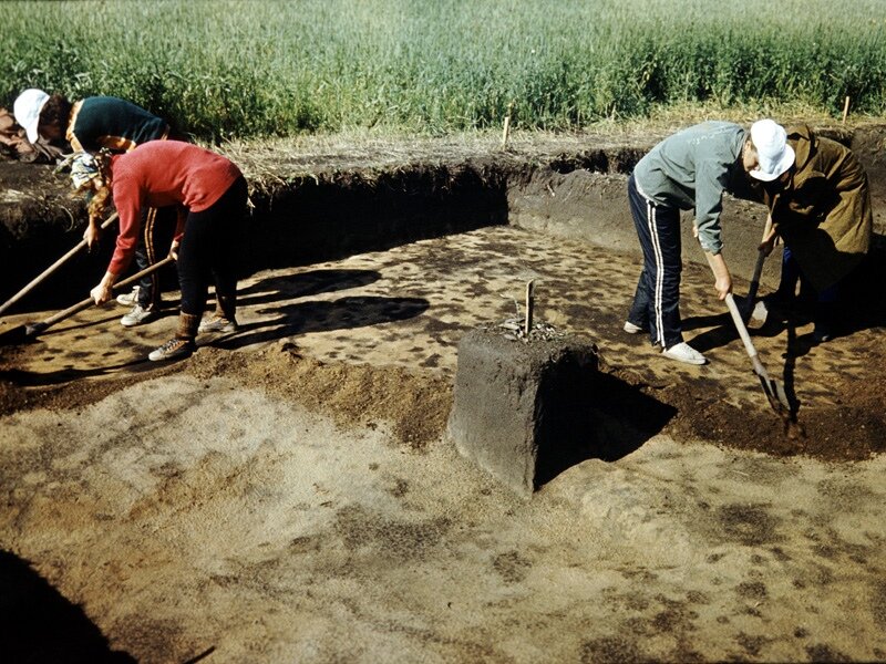 Археологи на раскопе в с.Кизильское. Фото: архив Виноградова Н.Б.