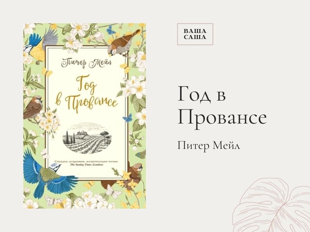 Книги куда захочешь. Книга хороший год (мейл Питер).