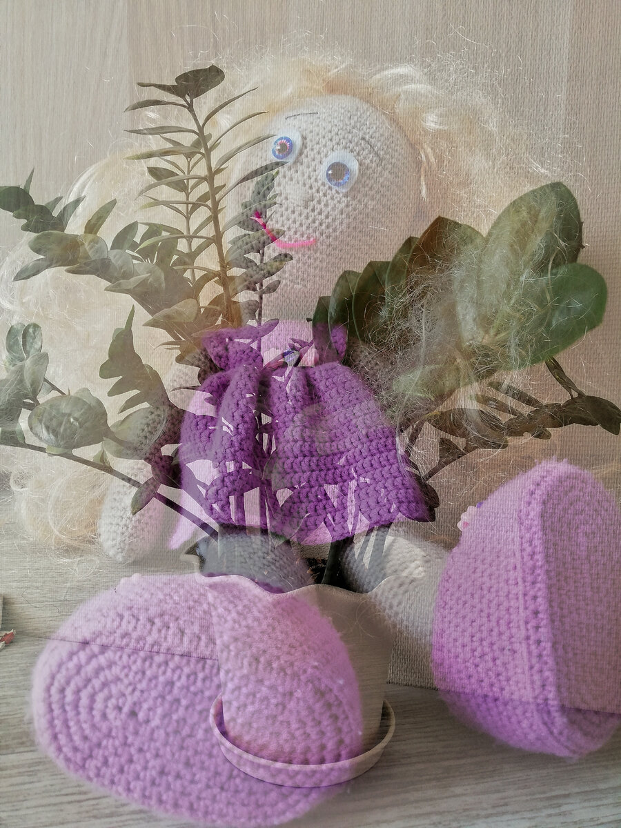 Замиокулькас. Ядовитое растение.