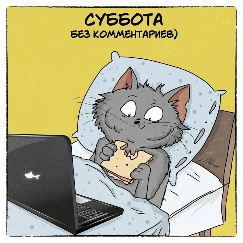 Доброе утро субботы с юмором