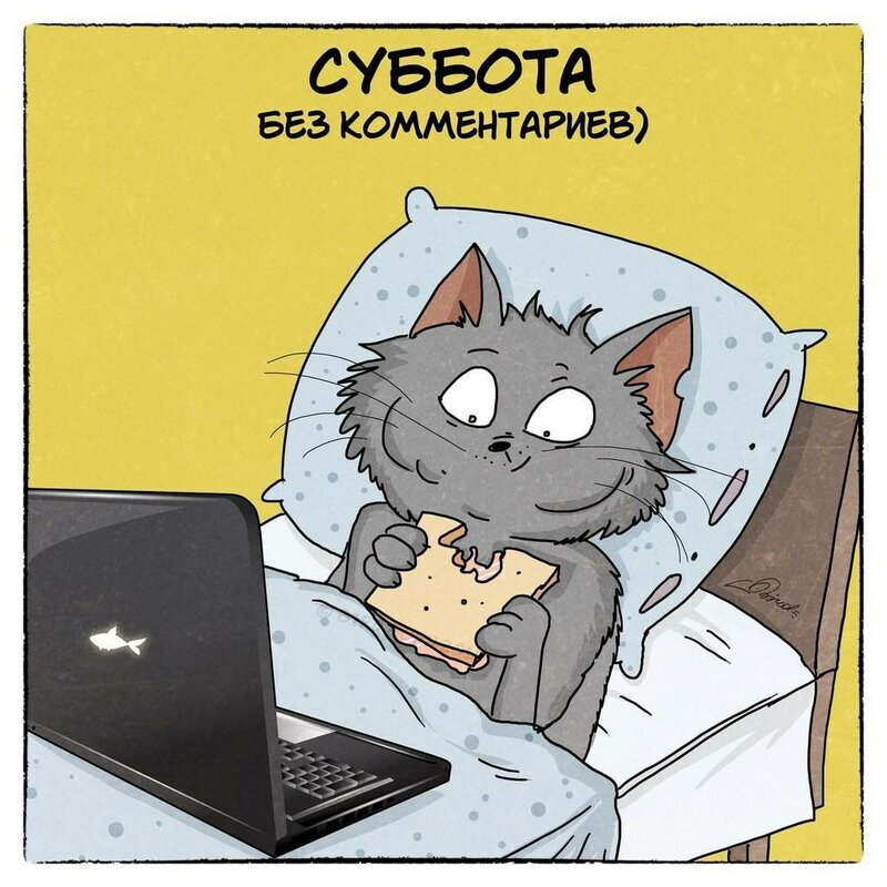 Суббо. Суббота приколы. Суббота карикатура. Открытки с субботой прикольные. Шутки про субботу.