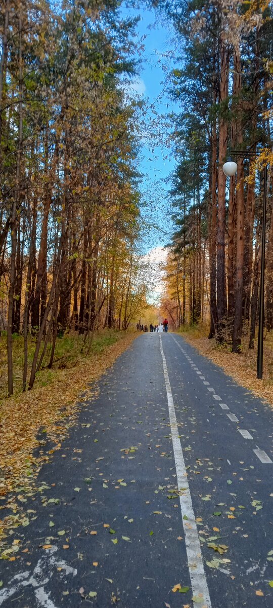 Народу было много...