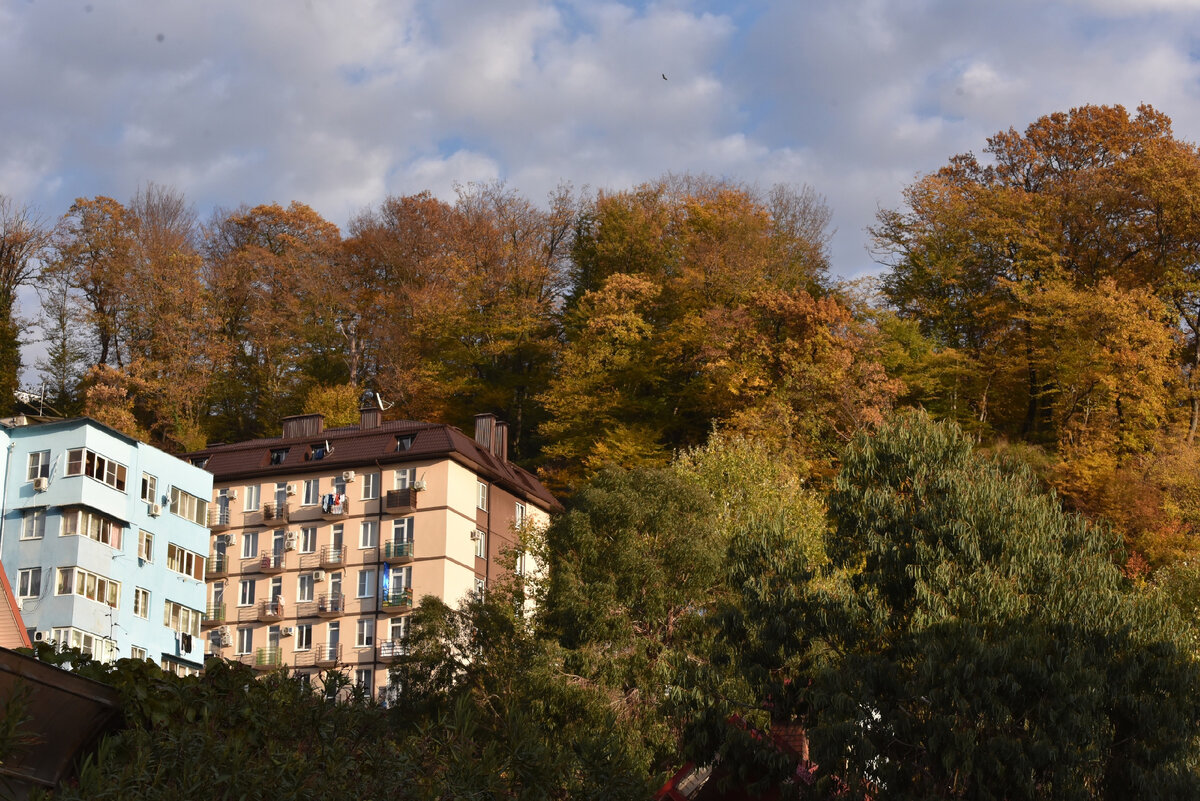 фото автора 2021