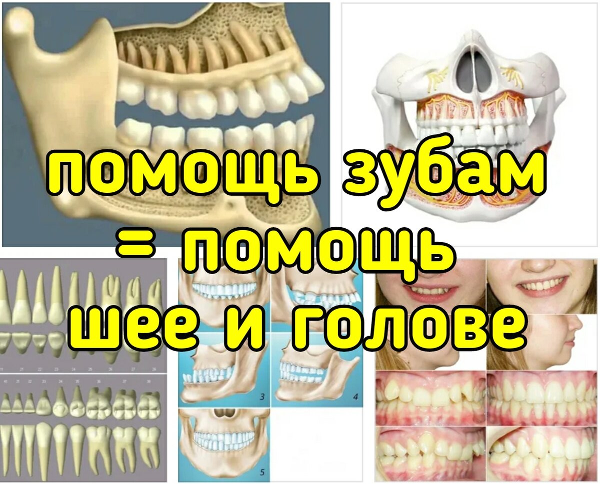 Зубная боль отдаёт в шею | Консультация стоматолога на сайте клиники Импладент