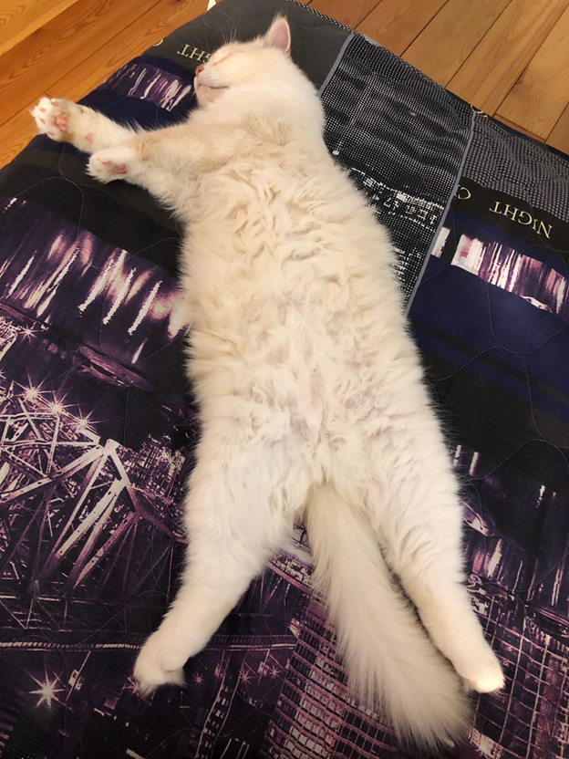 -2