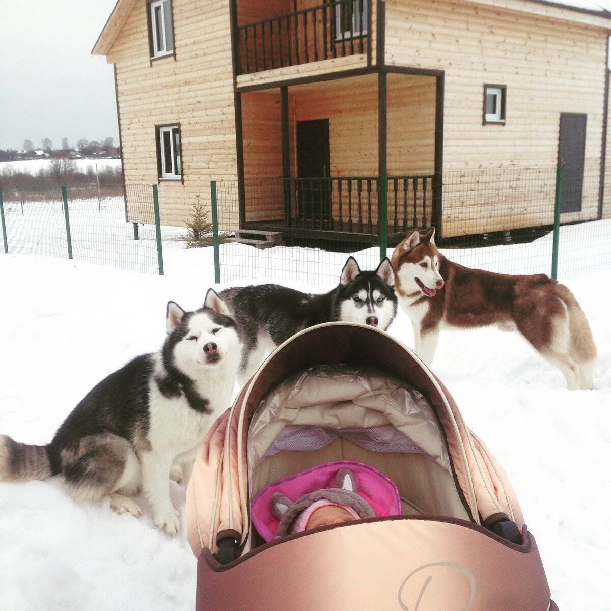 Переехали в пустой дом в поле