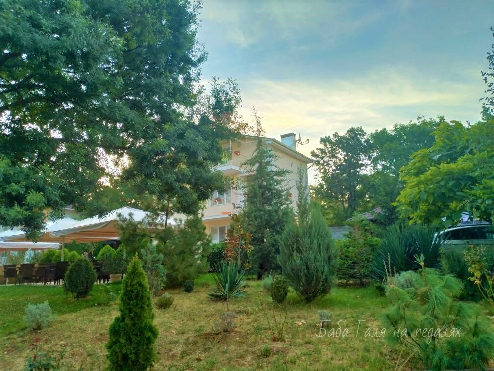 фото автора