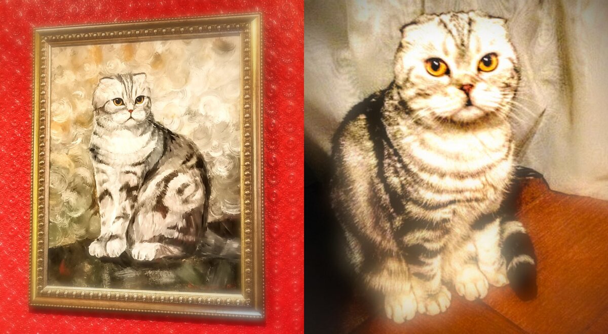 Кошка Паша